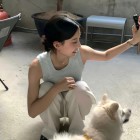 QQ头像