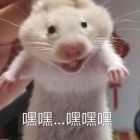QQ头像