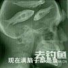 江西网友91384