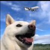 QQ用户_3243268862头像