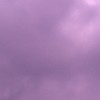 广西网友58336