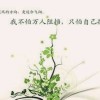 评论头像
