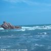 吉林网友13925