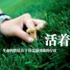 QQ头像
