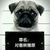 香港网友17049