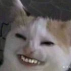 QQ头像
