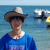 河南网友12687