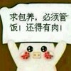 北京网友31776