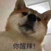 评论头像