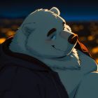 QQ头像