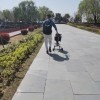 湖北网友74869