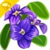四川网友43892