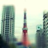 广东网友52371