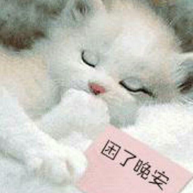 QQ Email Avatar