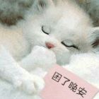 QQ头像