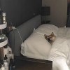 评论头像