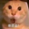 评论头像