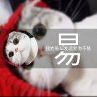 QQ头像