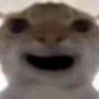 QQ头像