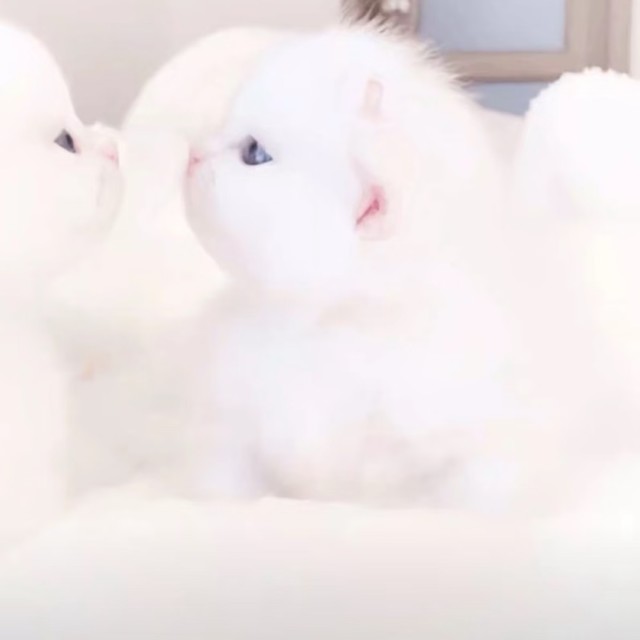 QQ邮箱头像