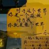 福建网友60811