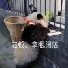 QQ头像