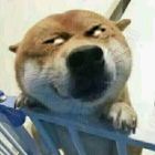 QQ头像