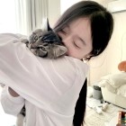 QQ头像