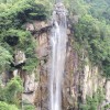 澳门网友15602
