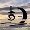 网友昵称：skype官网