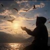 浙江网友62111