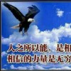 陕西网友54921