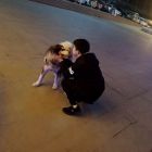QQ头像