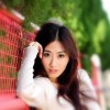 福建网友42396