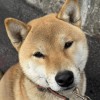 mr666999的头像-无忧免费游戏网