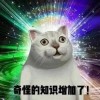 1728895241的头像-好软猫