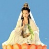 山东网友83545