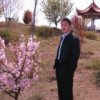 狂树萌乐