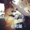 江西网友84665