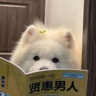 QQ头像
