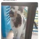 QQ头像