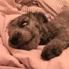 四川网友47505