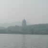 山东网友21704