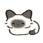QQ头像