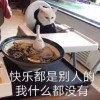 VioElena的头像-无忧免费游戏网