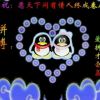 广东网友53118