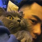 QQ头像