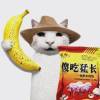 评论头像