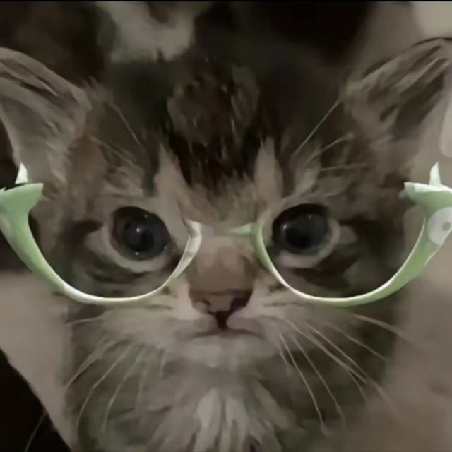 QQ Email Avatar