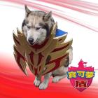 QQ头像
